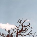 ... modrá je dobrá ...